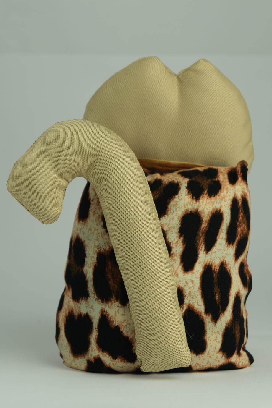 Leopard - immagine 2