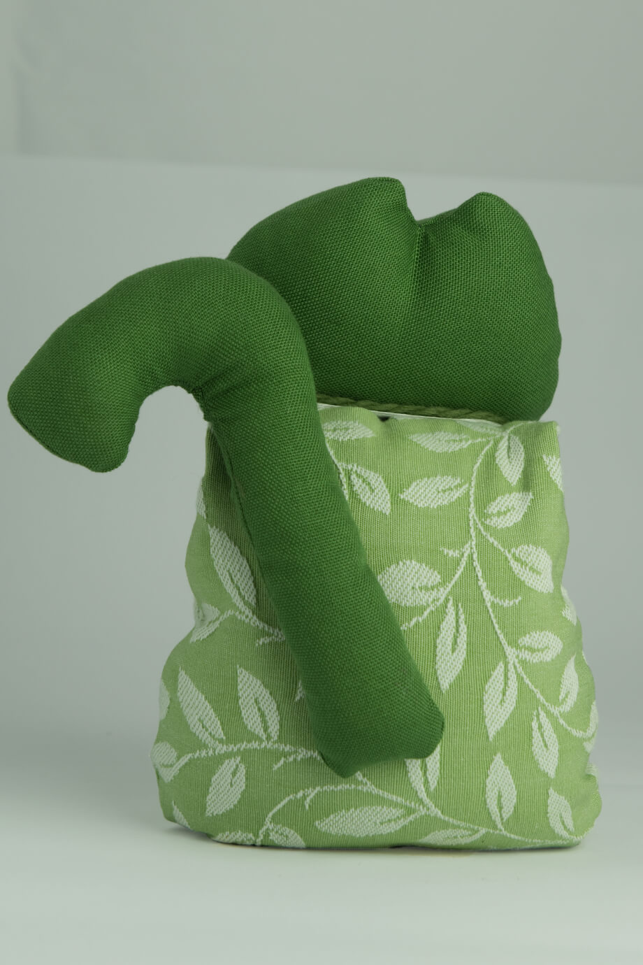 Lime - immagine 2
